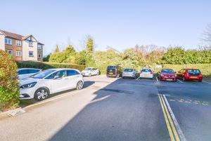 Photo 12- click for photo gallery